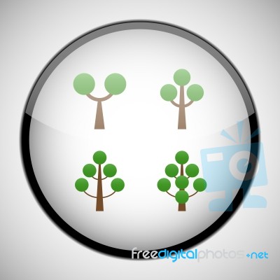 Tree In Circle Frame. Icon Concept Stock Image