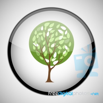 Tree In Circle Frame. Icon Concept Stock Image