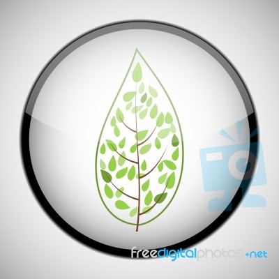 Tree In Circle Frame. Icon Concept Stock Image