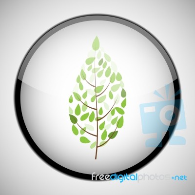 Tree In Circle Frame. Icon Concept Stock Image