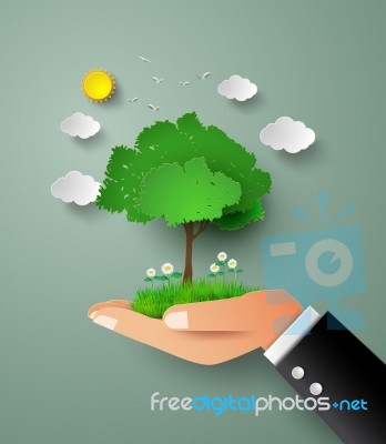 Tree In Hand Stock Image