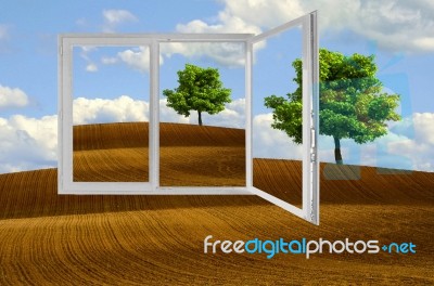 Tree In Plowed Fields Stock Image