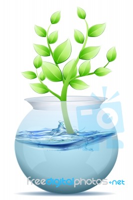 Tree In Water Tank Stock Image