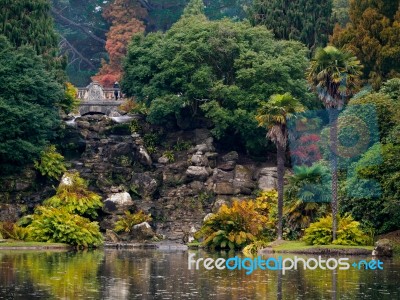 Tree Leaves Changing Colour In Autumn Stock Photo