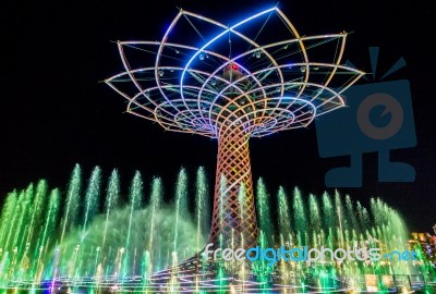 Tree Of Life At Expo In Milan Italy Stock Photo