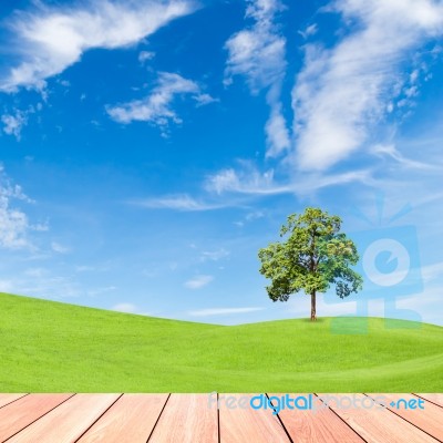 Tree On Green Grass Field With Blue Sky And  Wood Plank Stock Photo