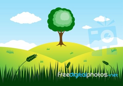 Tree On Top Of Mountain Stock Image