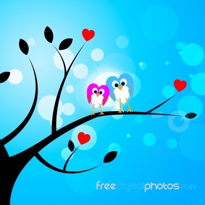 Tree Owls Represents Valentine's Day And Forest Stock Image