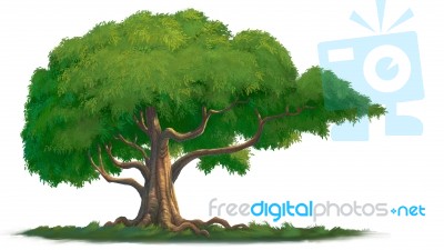 Tree Painted For Illustration Stock Image