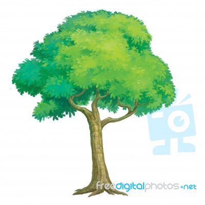 Tree Painted For Illustration Stock Image