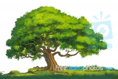 Tree Painted For Illustration Stock Image