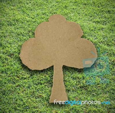 Tree Paper Stock Photo