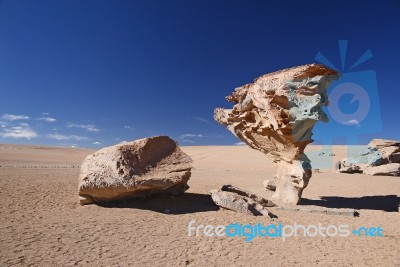 Tree Rock In Bolivia Stock Photo