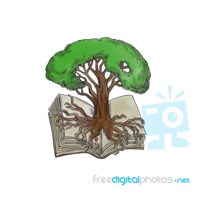 Tree Rooted On Book Tattoo Stock Image