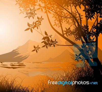 Tree Silhouette Scene Stock Image