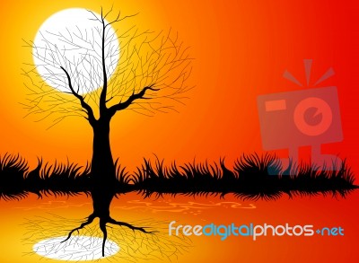 Tree Silhouettes Stock Image