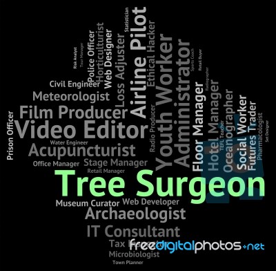 Tree Surgeon Means Job Jobs And Hiring Stock Image