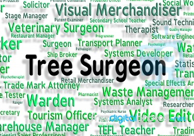 Tree Surgeon Represents General Practitioner And Branch Stock Image