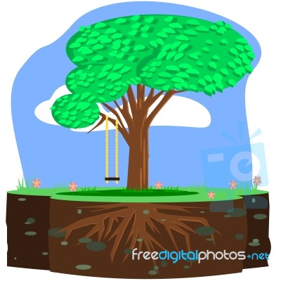 Tree Swing Stock Image