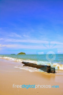 Tree Timber On The Beach With Blue Sky And Island Stock Photo