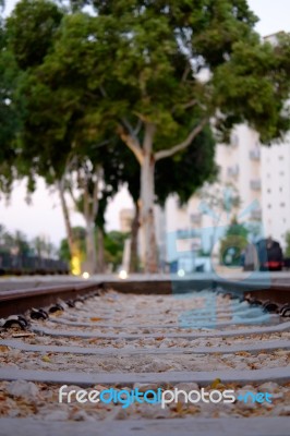 Tree Train Stock Photo