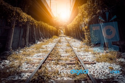 Tree Tunnel Railway In City Stock Photo