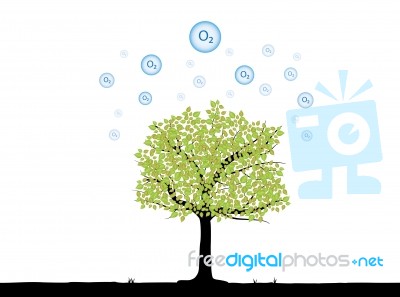 Tree With Oxygen Stock Image