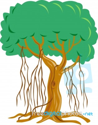 Tree With Vine Stock Image