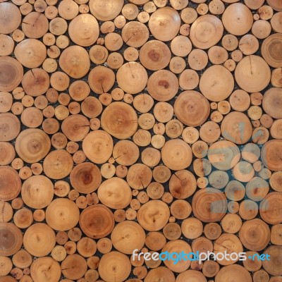 Tree Wood Brown Circle Stumps Stock Photo