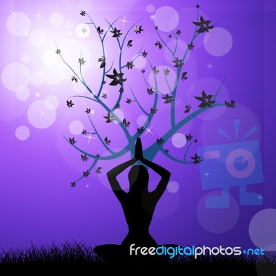 Tree Yoga Means Peaceful Feel And Trunk Stock Image