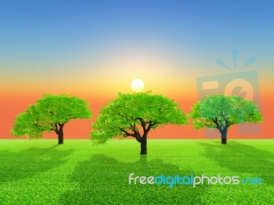 Trees Stock Image