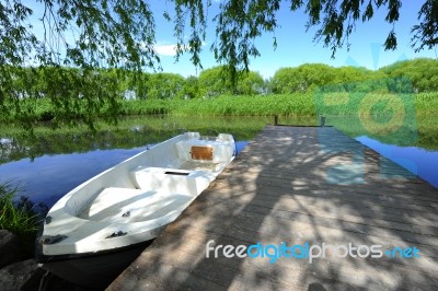 Trees And A Boat  Near The Lake And River Stock Photo