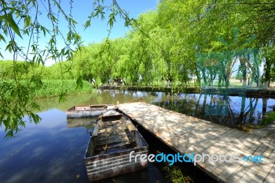 Trees And A Boat  Near The Lake And River Stock Photo