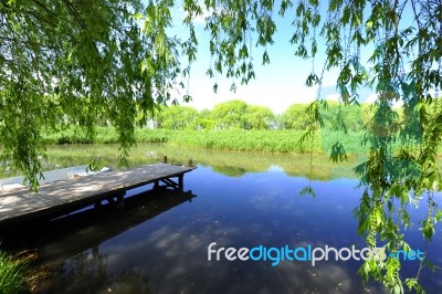 Trees And A Bridge Near The Lake And River Stock Photo