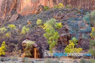 Trees And Boulders In Zion National Park Stock Photo