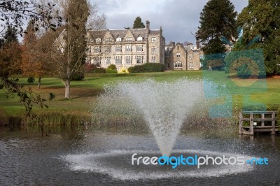 Trees And Lake In The Grounds Of The Ashdown Park Hotel Stock Photo