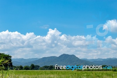 Trees And Mountains On A Bright Sky Stock Photo