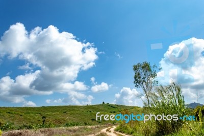 Trees And Mountains On A Bright Sky Stock Photo