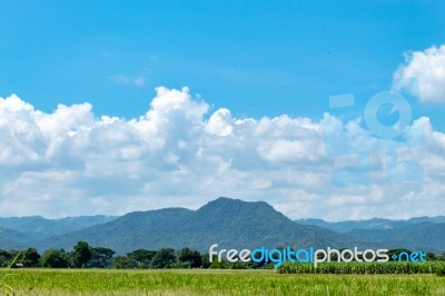 Trees And Mountains On A Bright Sky Stock Photo