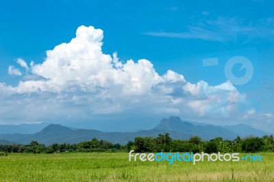 Trees And Mountains On A Bright Sky Stock Photo