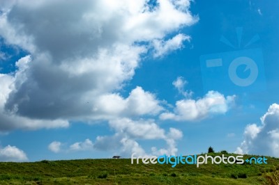 Trees And Mountains On A Bright Sky Stock Photo