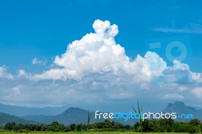 Trees And Mountains On A Bright Sky Stock Photo