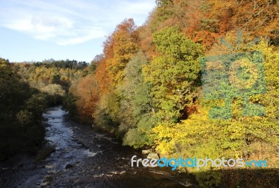 Trees And River Allen In Autumn Stock Photo