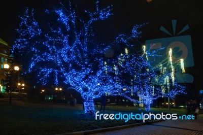 Trees Decorated For The Holiday Stock Photo