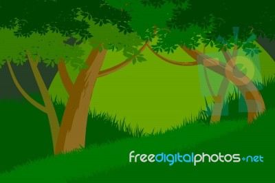 Trees Forest Scene Stock Image