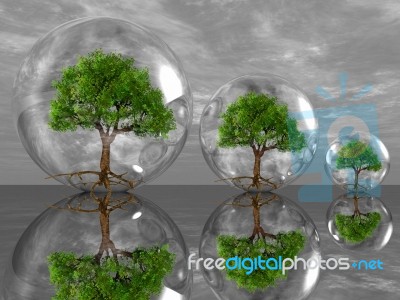 Trees In Bubbles Stock Image