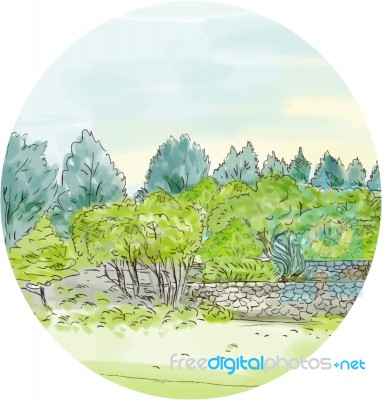 Trees In Park With Cornwall Oval Watercolor Stock Image