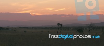 Trees In The Countryside In Queensland Stock Photo