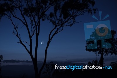 Trees In The Countryside In Queensland Stock Photo