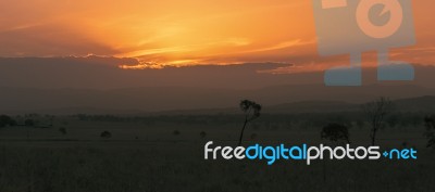 Trees In The Countryside In Queensland Stock Photo